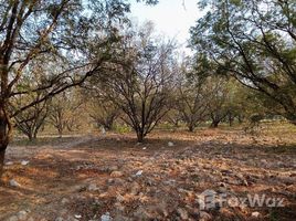  Terrain for sale in Phetchabun, Lom Kao, Lom Kao, Phetchabun