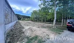 N/A Land for sale in Tha Wang Tan, Chiang Mai 