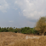  Land for sale in Surasak, Si Racha, Surasak