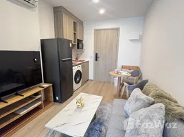 คอนโด 1 ห้องนอน ให้เช่า ในโครงการ ไลฟ์ รามา 4 - อโศก, คลองเตย, คลองเตย