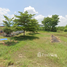  Land for sale in Mueang Nakhon Pathom, Nakhon Pathom, Nakhon Pathom, Mueang Nakhon Pathom