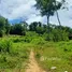  Terrain for sale in Choeng Thale, Thalang, Choeng Thale