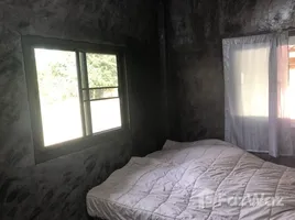 2 Bedroom House for sale in Ban Bom, Lampang, Ban Bom, Mae Tha, Lampang, Thailand