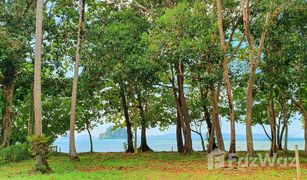 N/A Grundstück zu verkaufen in Khao Thong, Krabi 