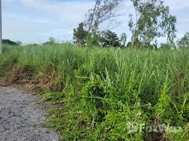  Grundstück zu verkaufen in Si Racha, Chon Buri, Surasak, Si Racha, Chon Buri