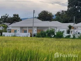 ขายที่ดิน ใน เหมืองแก้ว, เชียงใหม่, เหมืองแก้ว, แม่ริม