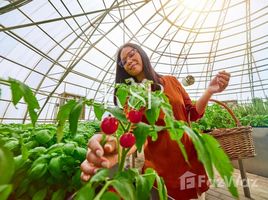 3 غرفة نوم شقة للبيع في The Sustainable City - Yas Island, Yas Acres, Yas Island