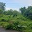  Land for sale in Thalang, Phuket, Mai Khao, Thalang