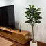 1 Bedroom Condo for rent at Sampoom Garden, Si Lom, Bang Rak, Bangkok, Thailand