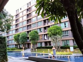 1 Bedroom Condo for sale at D Condo Creek, Kathu, Kathu, Phuket