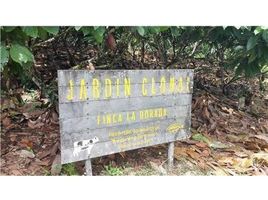 N/A Land for sale in , Alajuela COCOA AND DAIRY FARM IN PRODUCTION AND GROWING: Cocoa farm in San Carlos, San Carlos, Alajuela