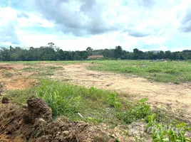 ขายที่ดิน ใน ป่าคลอก, ภูเก็ต, ป่าคลอก