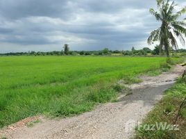 佛统 Bang Pla Land in Bang Len Nakhon Pathom for Sale close to Main Road N/A 土地 售 