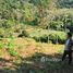 ขายที่ดิน ใน สาคู, ภูเก็ต, สาคู, ถลาง, ภูเก็ต