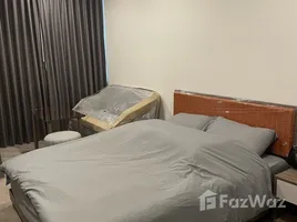 Studio Condo for rent at The Base Saphanmai, Anusawari