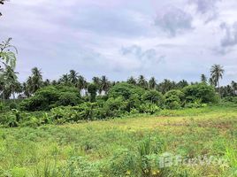  Grundstück zu verkaufen in Si Racha, Chon Buri, Nong Kham, Si Racha