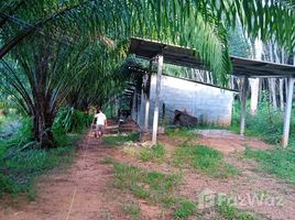 在甲米出售的 土地, Phru Tiao, Khao Phanom, 甲米