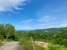  Terrain for sale in Choeng Thale, Thalang, Choeng Thale