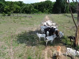  Terreno for sale in Brasil, Abaetetuba, Pará, Brasil