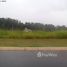  Land for sale in Fernando De Noronha, Rio Grande do Norte, Fernando De Noronha, Fernando De Noronha