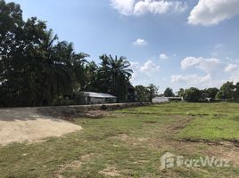  Land for sale in San Kamphaeng, San Kamphaeng, San Kamphaeng