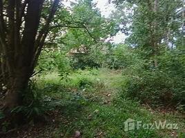 ขายที่ดิน ใน แม่น้ำ, สุราษฎร์ธานี, แม่น้ำ