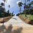  Land for sale in Maenam, Surat Thani, Maenam, Koh Samui