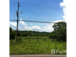  Land for sale in Puntarenas, Puntarenas, Puntarenas