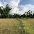  Land for sale in Hang Dong, Chiang Mai, San Phak Wan, Hang Dong