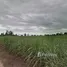  Land for sale in Thailand, Nai Mueang, Mueang Kamphaeng Phet, Kamphaeng Phet, Thailand