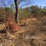  Land for sale in Carrillo, Guanacaste, Carrillo