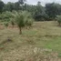  Terreno for sale in Balbina, Presidente Figueiredo, Balbina