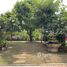 4 Habitación Casa en venta en FazWaz.es, Cho Ho, Mueang Nakhon Ratchasima, Nakhon Ratchasima, Tailandia