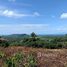  Land for sale in Na Mueang, Koh Samui, Na Mueang