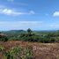  Land for sale in Koh Samui, Na Mueang, Koh Samui