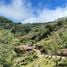在Cartago出售的 土地, Cartago, Cartago