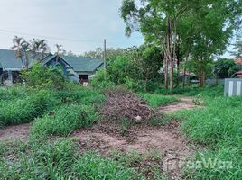  Land for sale in Chon Buri, Bang Lamung, Pattaya, Chon Buri