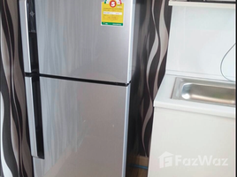 1 Bedroom Condo for rent at The Parkland Srinakarin Lakeside, Samrong Nuea, Mueang Samut Prakan, Samut Prakan