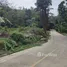 ขายที่ดิน ใน ภูเก็ต, ฉลอง, เมืองภูเก็ต, ภูเก็ต