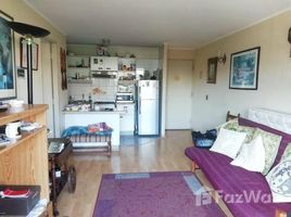 1 Bedroom Apartment for rent at Nunoa, San Jode De Maipo