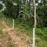  Land for sale in Thailand, Taling Ngam, Koh Samui, Surat Thani, Thailand