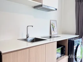 บ้านเดี่ยว 2 ห้องนอน ให้เช่า ในโครงการ อินดี้ 2 บางนา-รามคำแหง 2, ดอกไม้