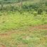  Land for sale in Presidente Figueiredo, Presidente Figueiredo, Presidente Figueiredo