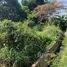 ขายที่ดิน ใน ป่าไผ่, เชียงใหม่, ป่าไผ่