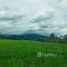  Земельный участок for sale in Nam Phrae, Чианг Маи, Nam Phrae, Ханг Донг