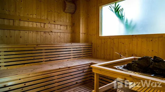 Photo 1 of the Sauna at City Garden Tropicana