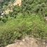  Land for sale in Maret, Koh Samui, Maret