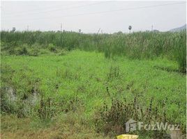  Grundstück zu verkaufen in Krishna, Andhra Pradesh, Gannavaram, Krishna