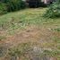  Land for sale in Puerto Lopez Manabi, Salango, Puerto Lopez, Manabi, Ecuador