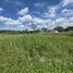  Land for sale in Don Kaeo, Chiang Mai, Don Kaeo, Saraphi, Chiang Mai